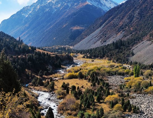 TpQSut8xq9jao9tNB-ptAZQsU6J2TStKSMUxK8hlCFhtTK6wLJ8ivkvgTYnvga0bCyPjyA6DIA20RrSAOlt166my